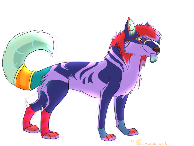 Sparkle Dog Entry