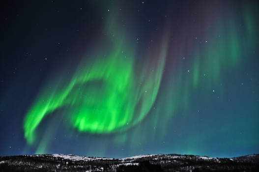 Auroras over Festvag