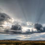 Evening Light in Serengeti