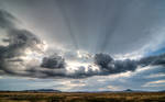 Evening Light in Serengeti by SindreAHN