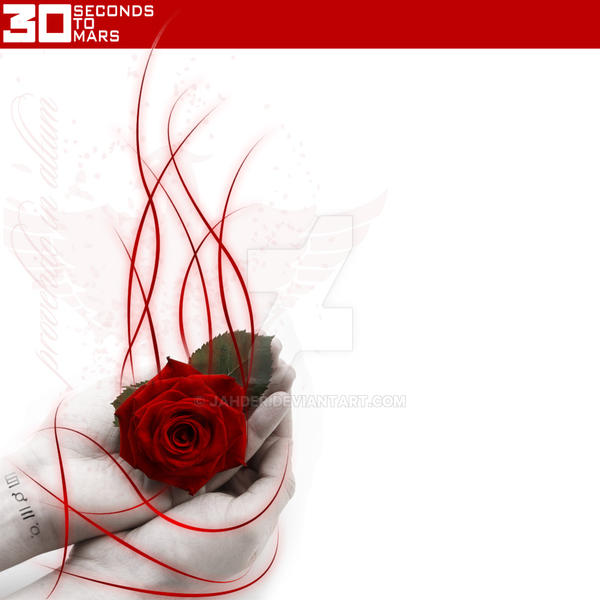 30 Seconds to Mars 'Rose'