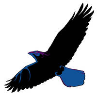Raven (work in progress)
