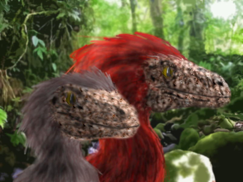 Two Raptors Cute Pair of Raptors by PWNZ3R-Dragon on DeviantArt