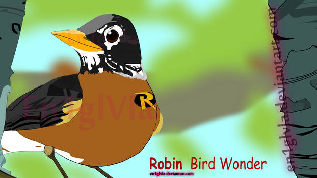 Robin Bird Wonder *Updated*