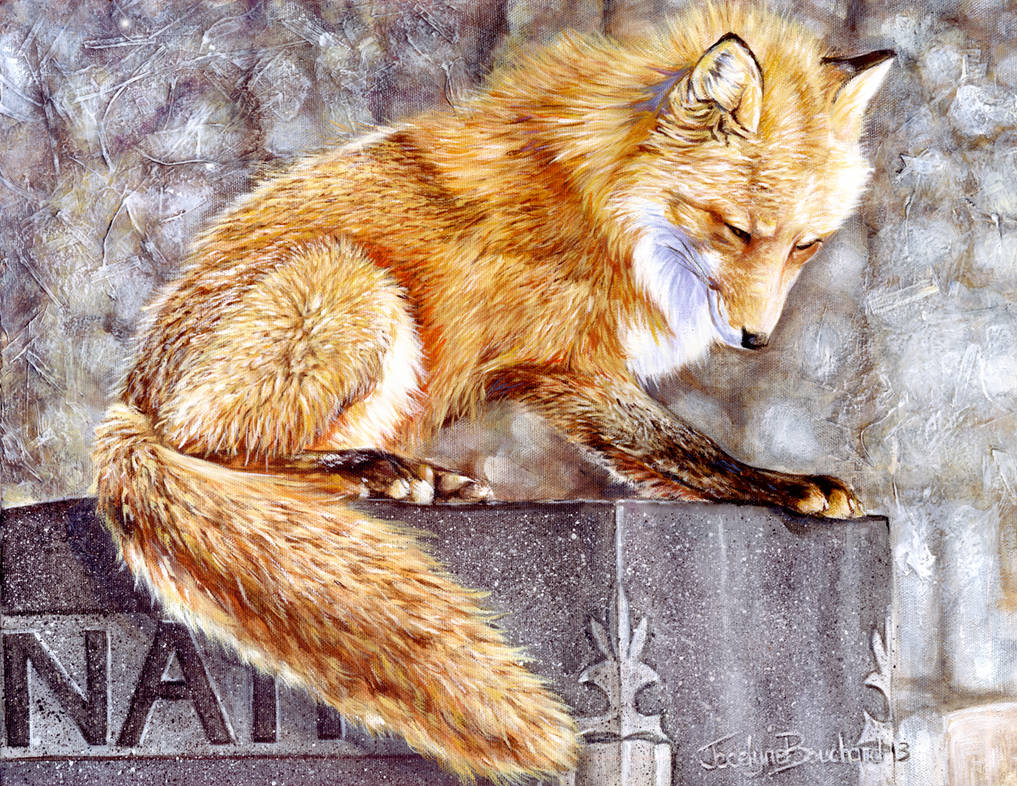 Renard2