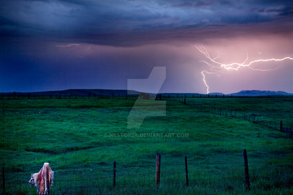 Ranchie Lightning