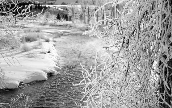 Frosty Gros Ventre River