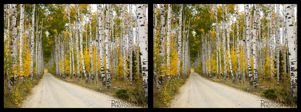 Aspen Alley 2011 3D by Nestor2k