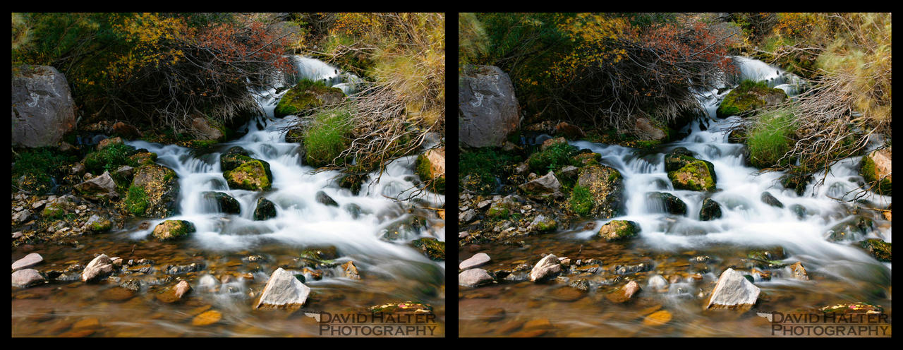 Big Spring 2011 3D by Nestor2k