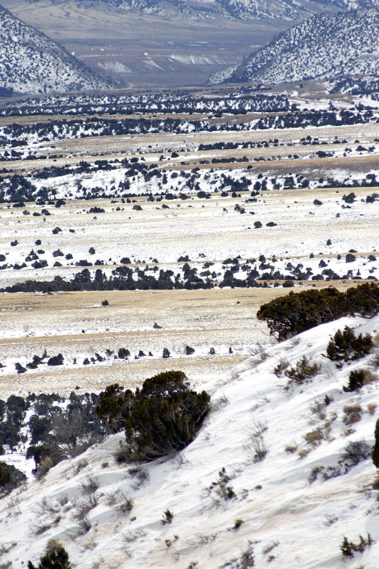 Wyoming Winter