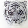 Biro Tiger