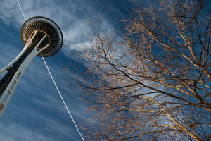 Space Needle 2