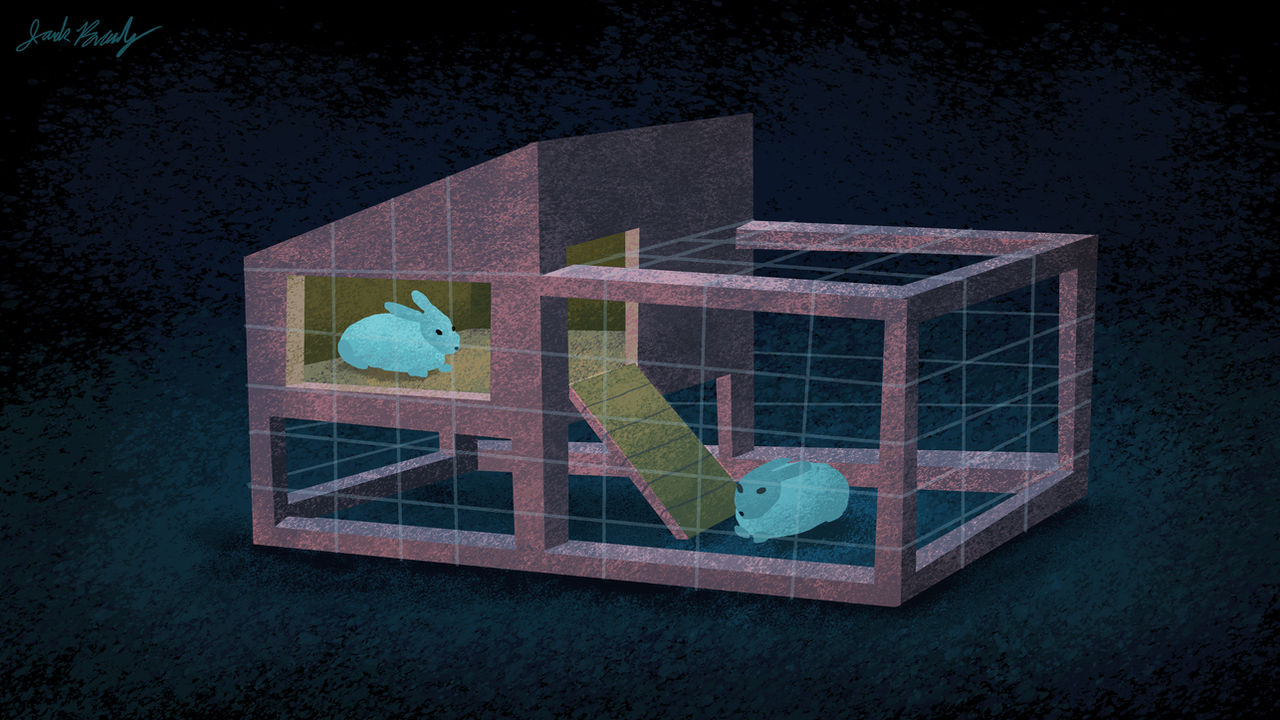 Deviantart Cage Rabbit Rabbit Hutch by jackchickengravy on DeviantArt