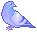 Manny the Pigeon