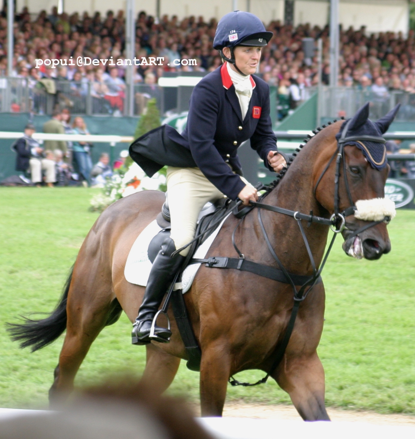 BHT Showjumping3