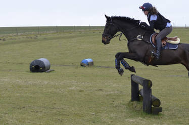 XC schooling stock