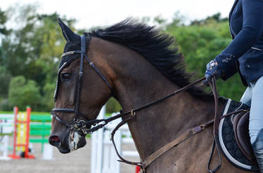 popui - Hobbyist, Photographer | DeviantArt