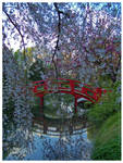 Bridge through sakura branches by Ceridwenn