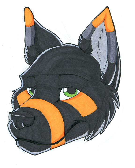 .: Punkin Headshot :.