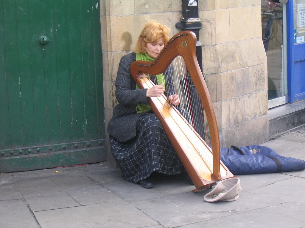 Irish Harpist