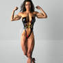 Female Muscle IV