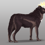 He who would be king