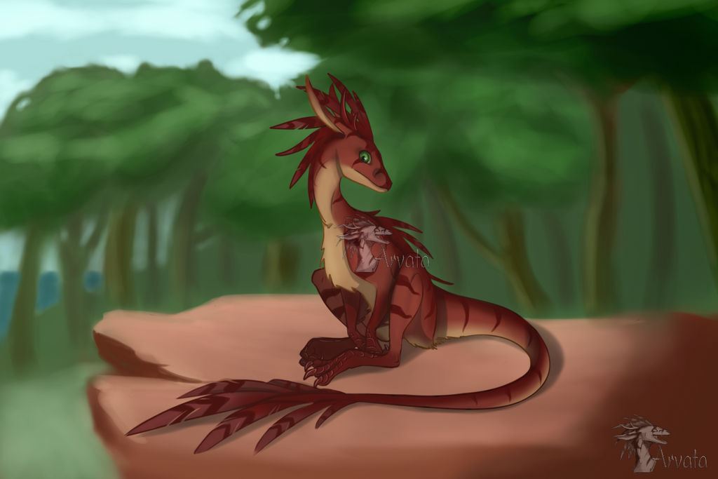 OC - Iva by Arvata