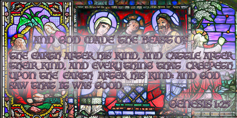 Genesis1:25 by FelyKotagbia on DeviantArt