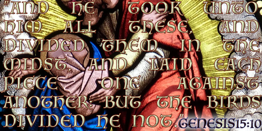 Genesis15 10 By FelyKotagbia On DeviantArt genesis15-10-by-felykotagbia-on-deviantart
