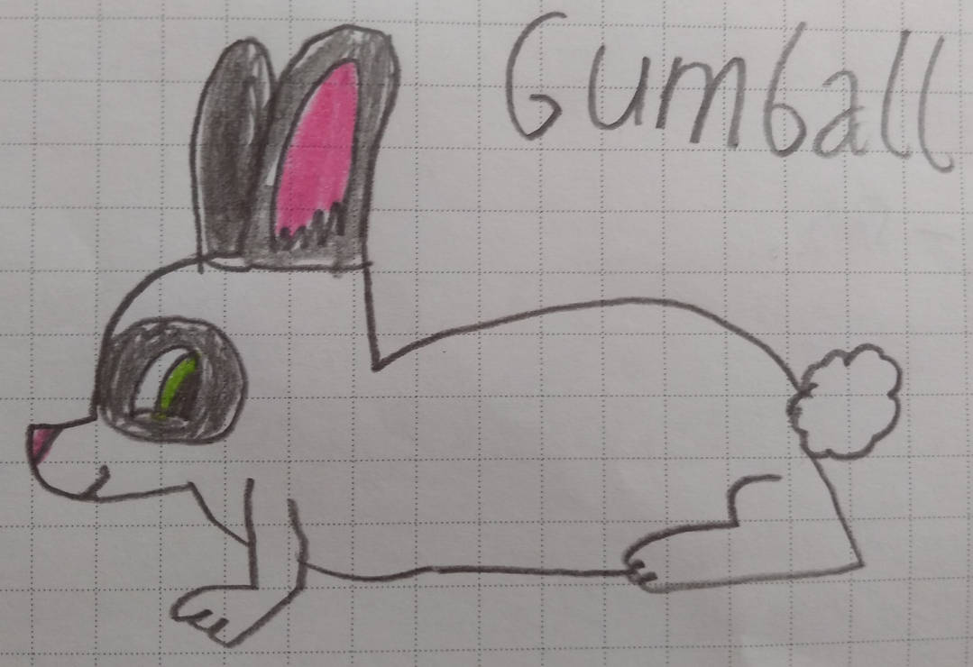 Gumball (Connor's rabbit) by PurpleWolfPuppy on DeviantArt