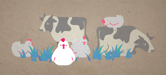 For The Love Of Meat Chickens and Cows GIF