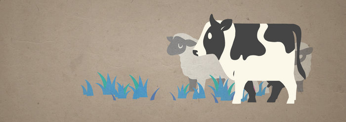 For The Love Of Meat Cow, Lamb and Chicken GIF