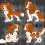 Spaniel adopts 2