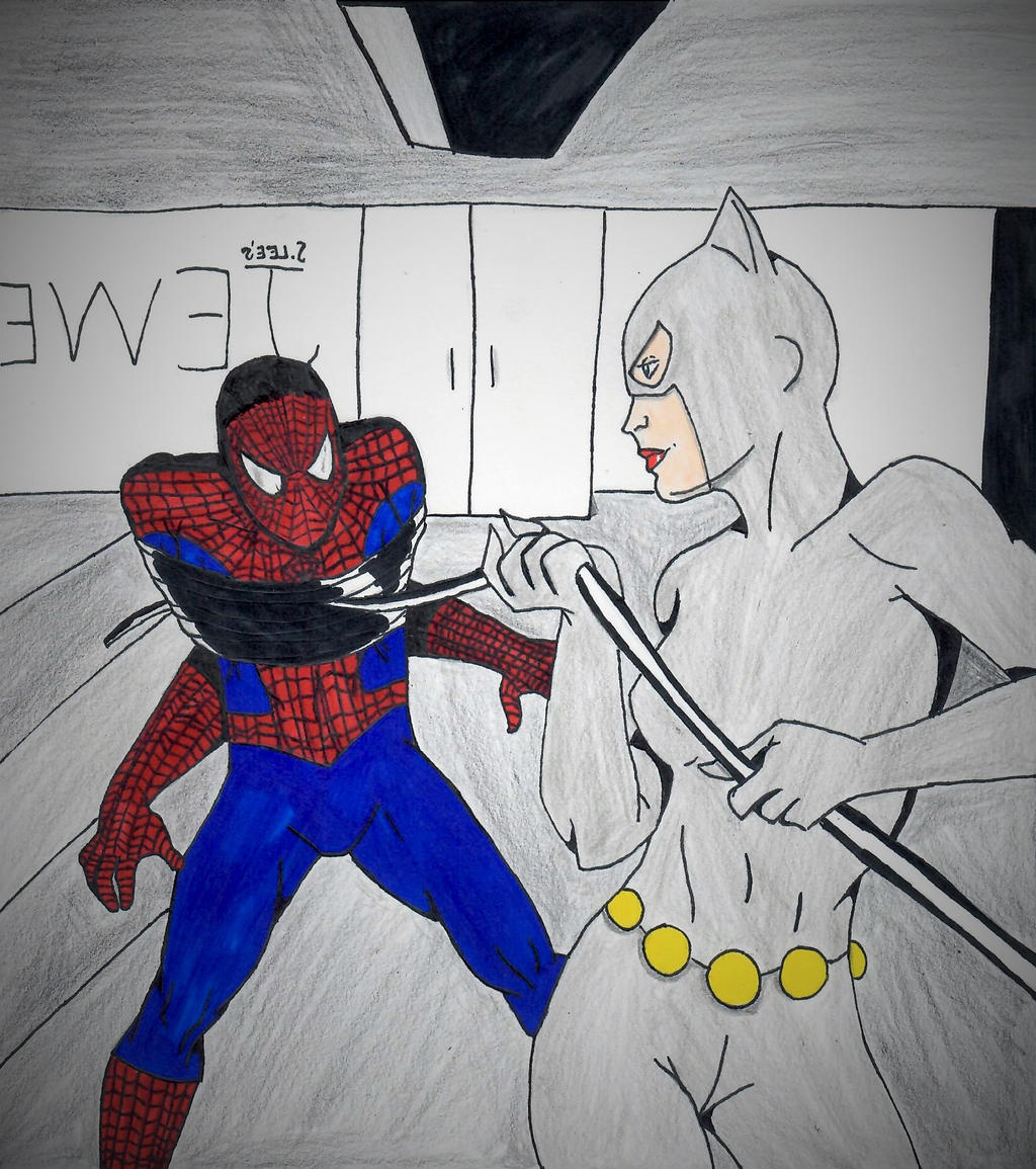 Spider-Man vs Catwoman