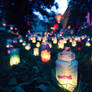 lit lanterns