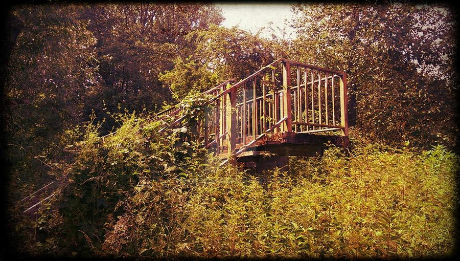 Project Riven: Forested World by Pinkseph on DeviantArt