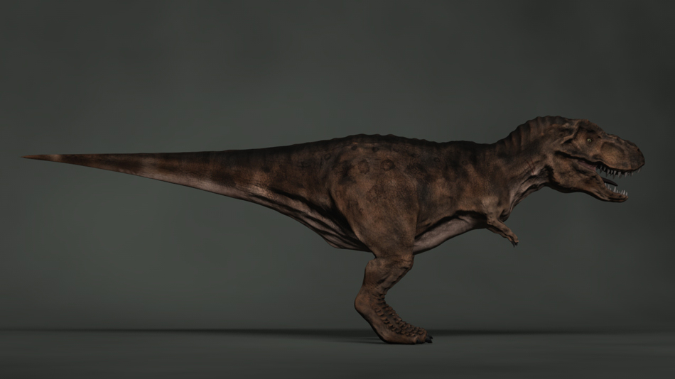 WIP Tyrannosaurus Rex