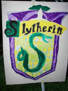 Can I Slytherin?