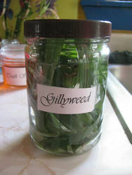 Gillyweed.