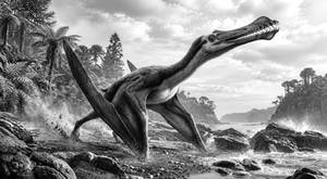 Ornithocheirus, Mid-Cretaceous Period