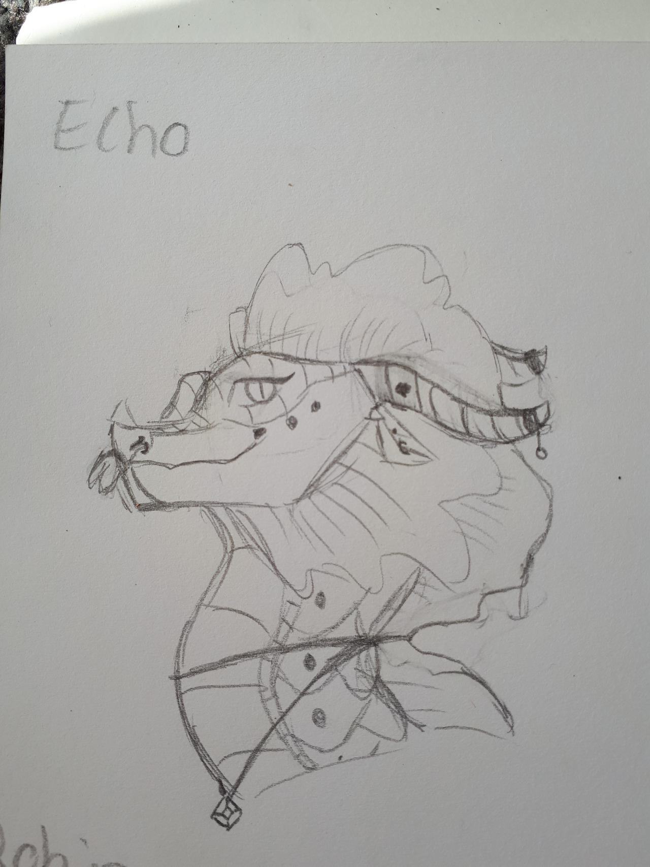 Echo by Farswim on DeviantArt