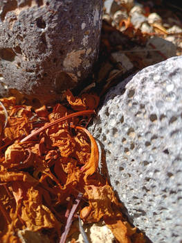 Macro triple texture