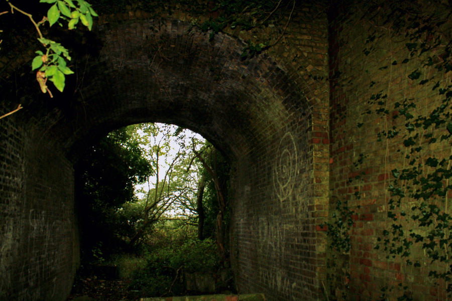 Abandoned Railway Bridge #1