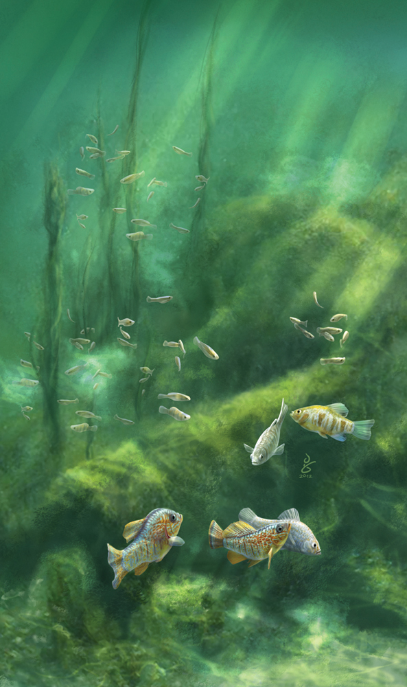 Fishes of the Carbonera cover