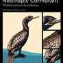 Neotropic Cormorant