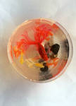 3D Fish 3 in epoxy resin art