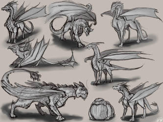 Dragon Concepts