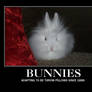 Demotivational poster- Bunnies