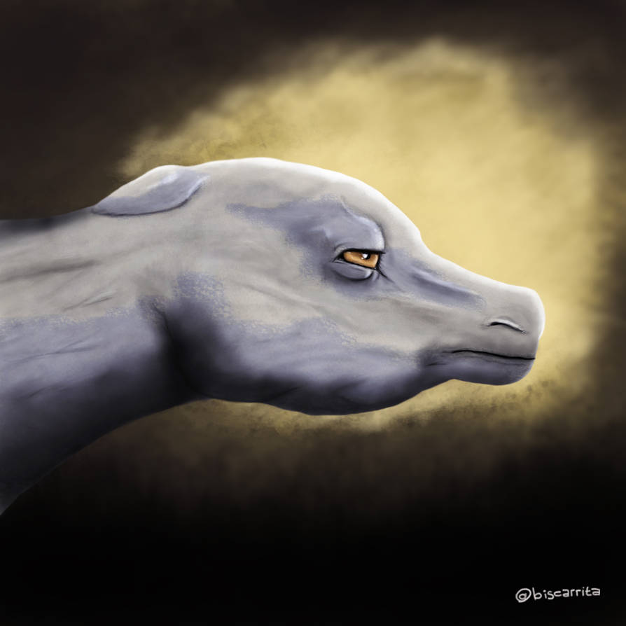 Horse Dog Dragon This By Biscarrita On Deviantart Horse Dog Dragon This By Biscarrita On Deviantart