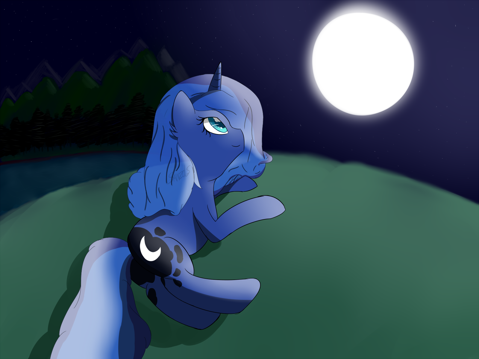 Luna looking at the night sky